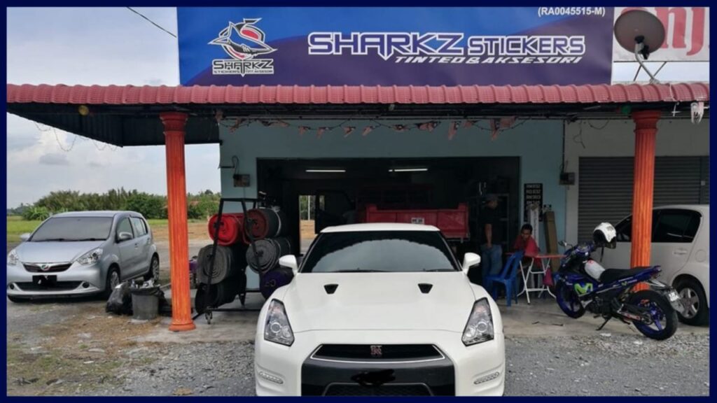 sharkz stickers car tint and accessories
